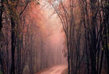 PG游戏-包含Karsa爆冷击败塞尔维亚队，突破纪录引爆全场！的词条